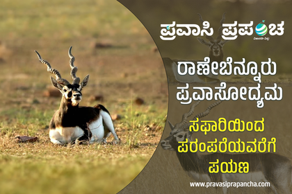 ವನಸಿರಿ ಮತ್ತು ಇತಿಹಾಸದ ಅಪೂರ್ವ ಸಂಗಮ