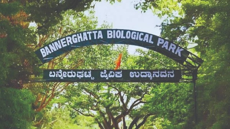 Bannerughatta national park (1)