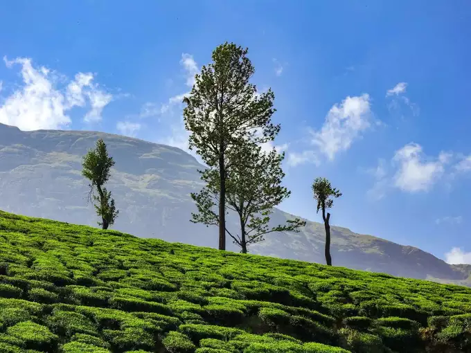 Chikkamagaluru