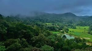 Coorg