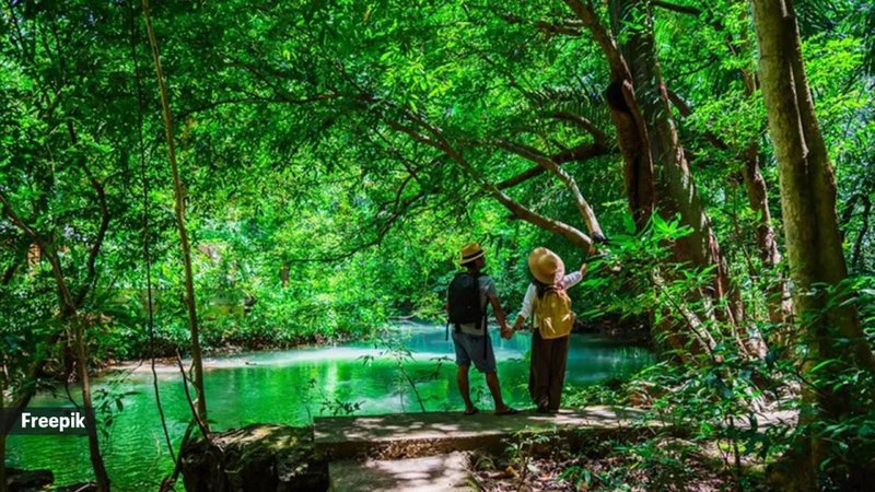 Eco Tourism