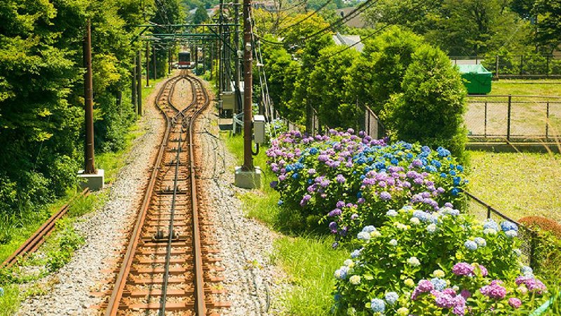 Flower gardens bloom at railway stations 2