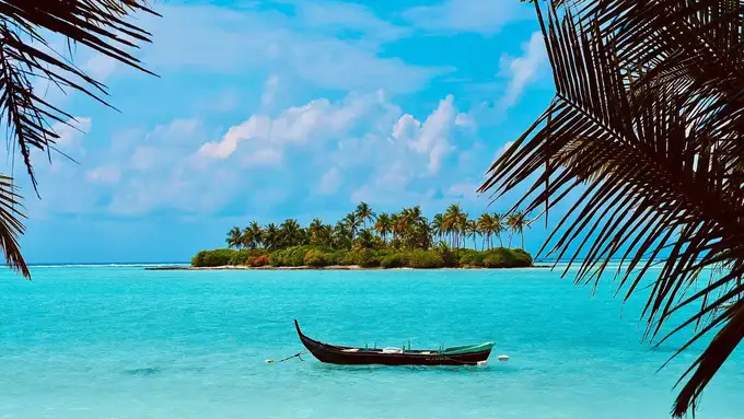 Honeymoon !