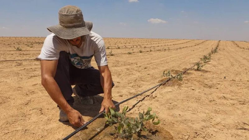 Israel water use 2