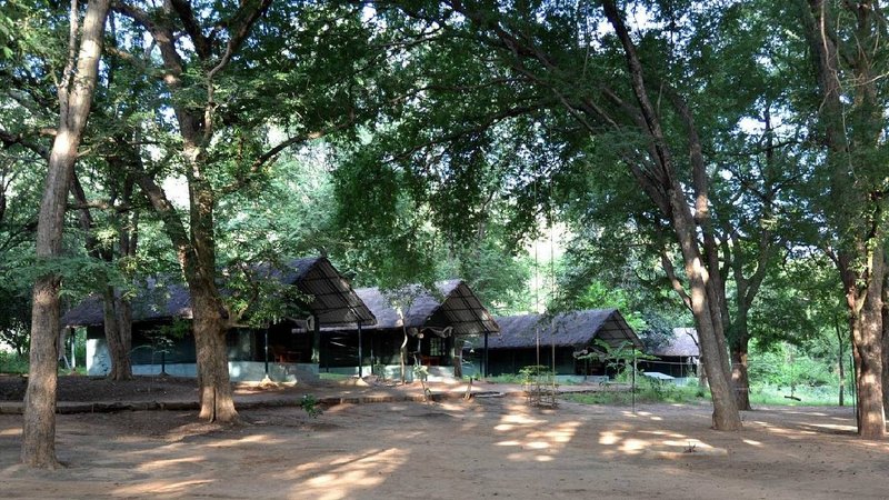 JLR Galibore Nature Camp 1