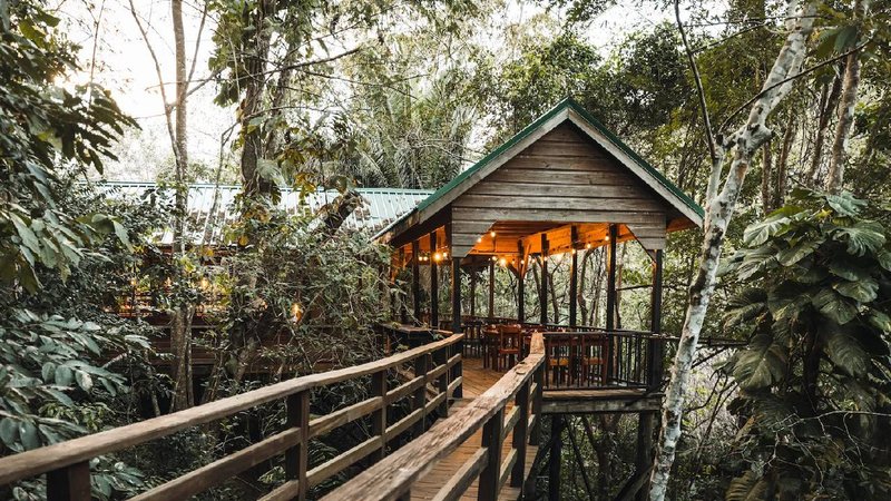 JUNGLE LODGE 1
