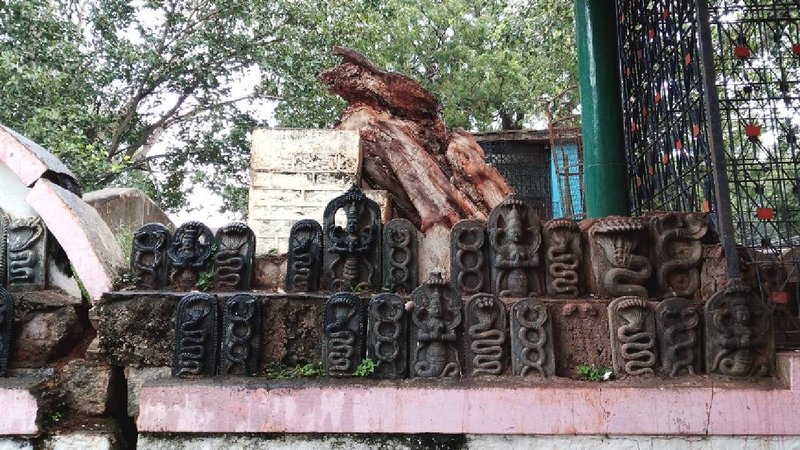 Jallianwala Bagh in Karnataka 1