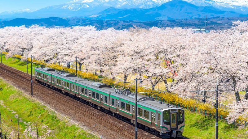 Japan train