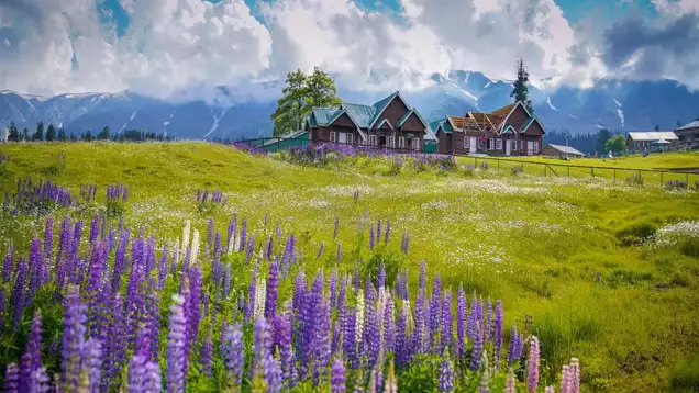 Kashmir