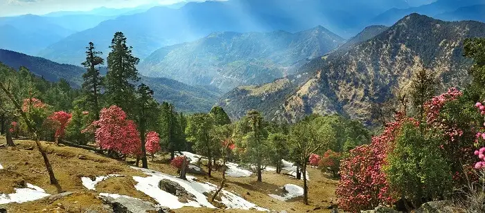 Kausani1