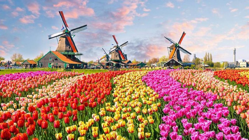 Keukenhof (1)
