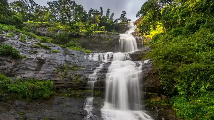 Loss Falls