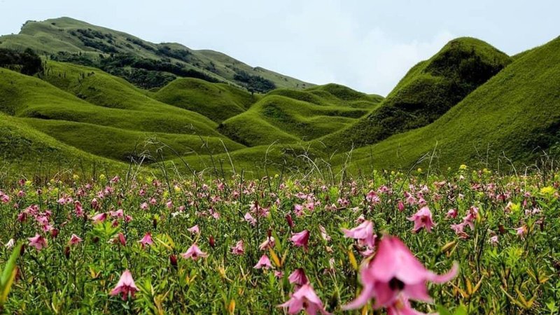 Nagaland valley