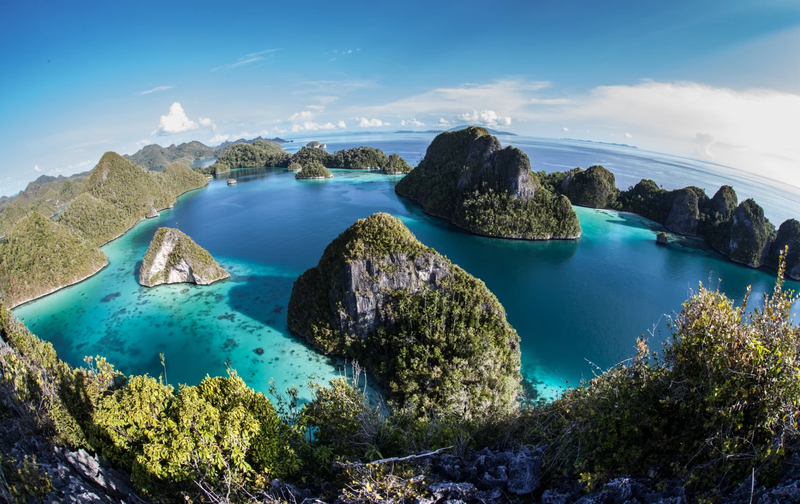 New Guinea