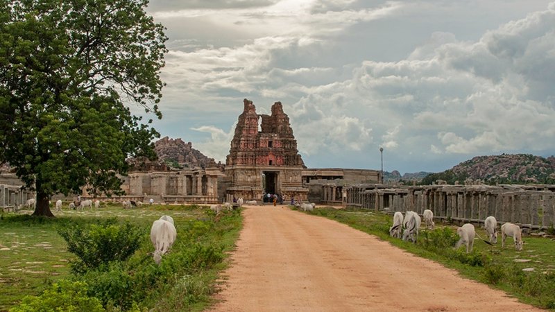 New Project - 2026-01-31T121816.143