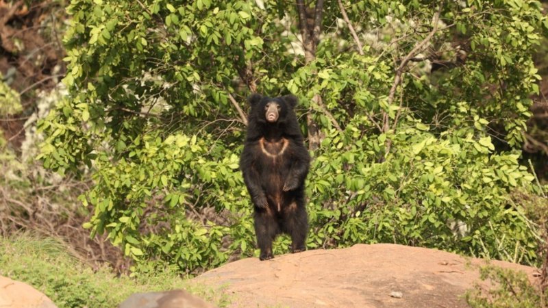 New Project - 2026-01-31T121833.347