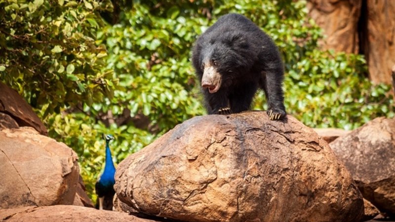 New Project - 2026-01-31T121909.284