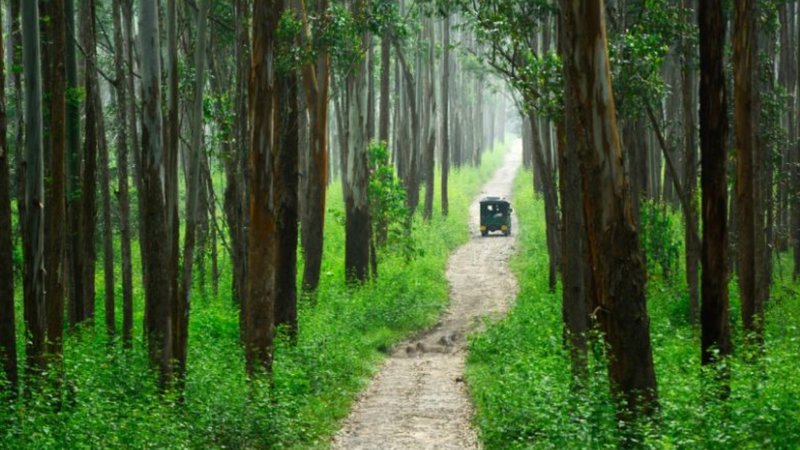 New Project - 2026-02-20T174609.327