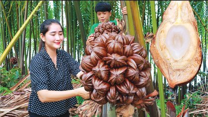 ವಾಟರ್‌ ಕೊಕೊನಟ್‌