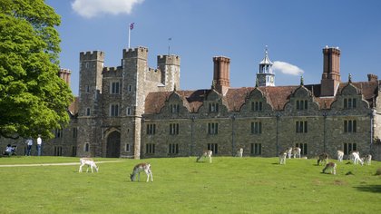 ಇಂಗ್ಲೆಂಡಿನ ಅರಮನೆ ಮತ್ತು ಜಿಂಕೆ ವನ