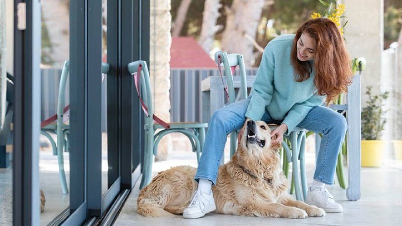 Pet-Friendly Tourism Gains Popularity in Munnar