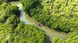 Pichavaram
