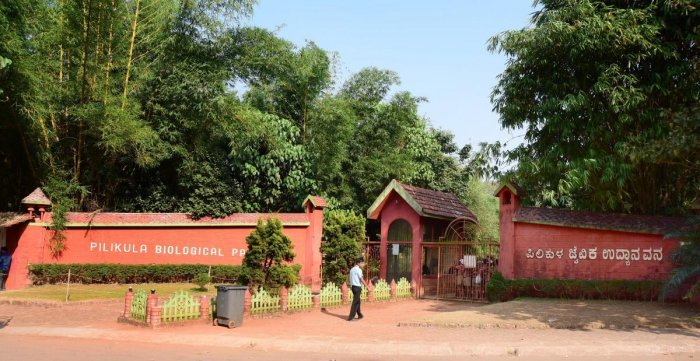 Pilikula 3