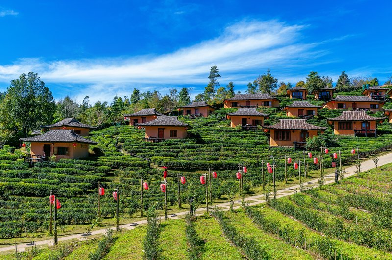 Places_To_Visit_In_Kausani1_e38a87d17d