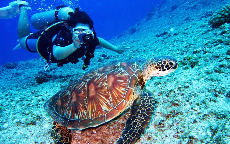 Scuba_diving_5