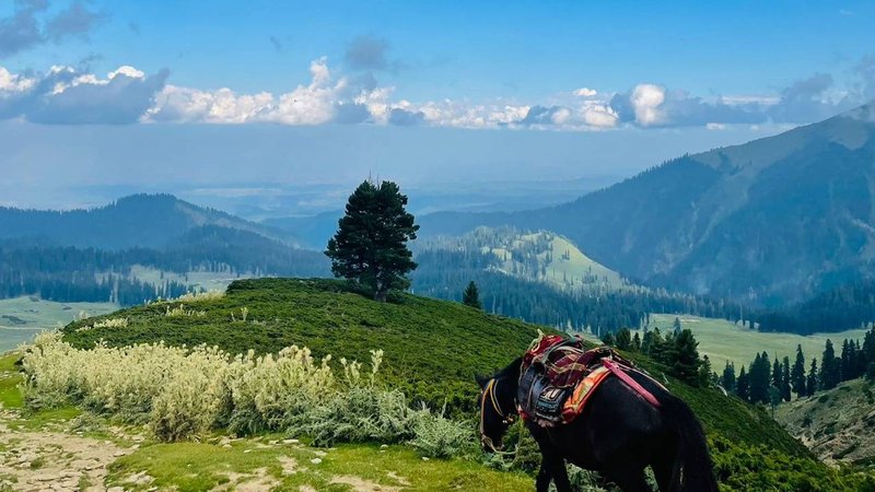 Silent Meadows Trek 1