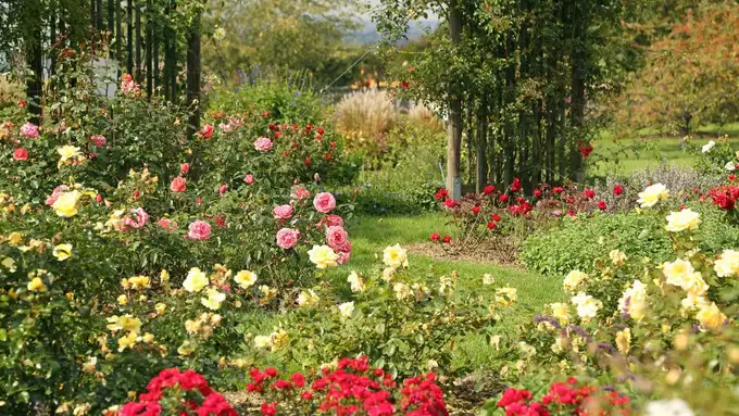 Sims Park