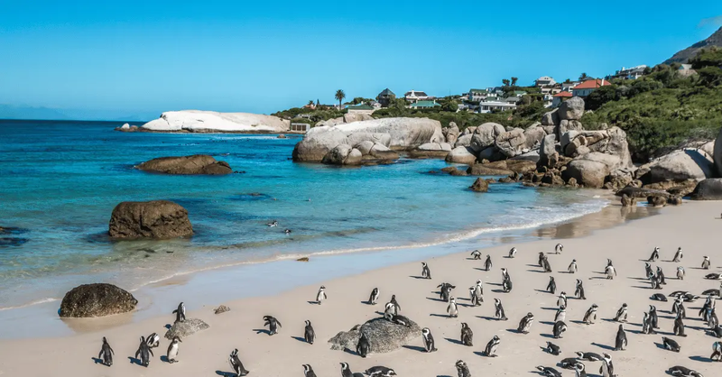 South-Africa-Tourist-Places-1-1