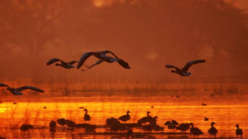 Sultanpur National Park