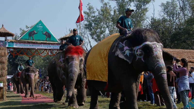 Tourism Boost as Chitwan Elephant Festival Comes to a Close