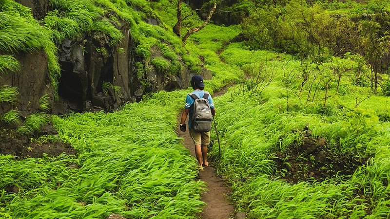 Trekking traveller