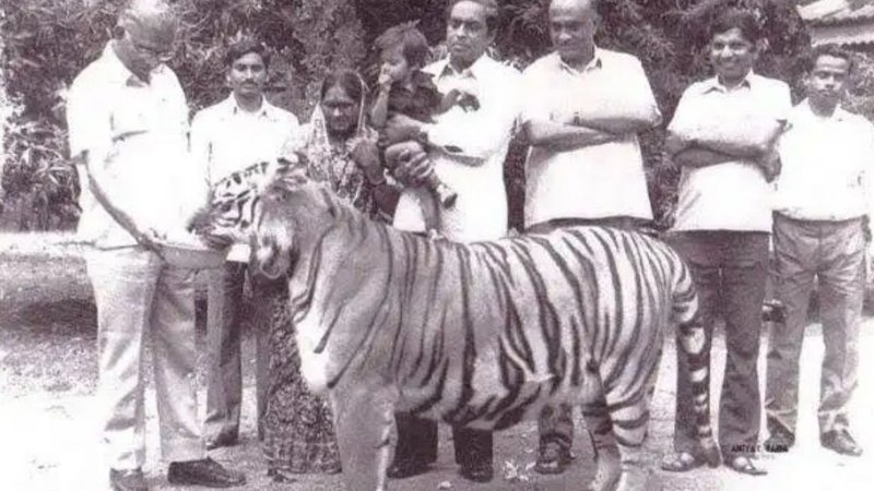 ram lakshman