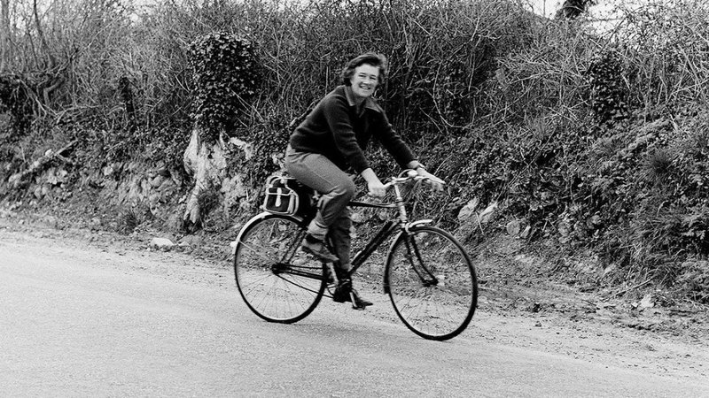 Untitled design - 2026-02-17T185647.685