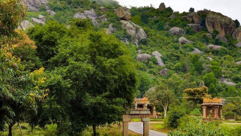 Untitled design - 2026-02-17T194847.441