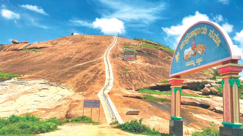 Untitled design - 2026-02-17T201551.499