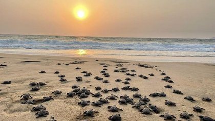 ಕೇಂದ್ರ ಅಯವ್ಯಯದಲ್ಲಿ ಜೈವಿಕ ಪ್ರವಾಸೋದ್ಯಮದಕ್ಕೆ ಸಿಕ್ಕಿದೆ ಹೆಚ್ಚಿನ ಅವಕಾಶ