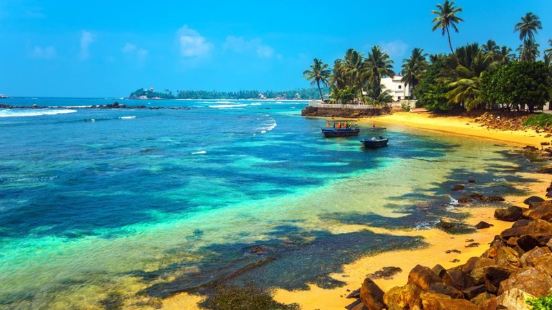 Untitled design - 2026-02-19T182503.783