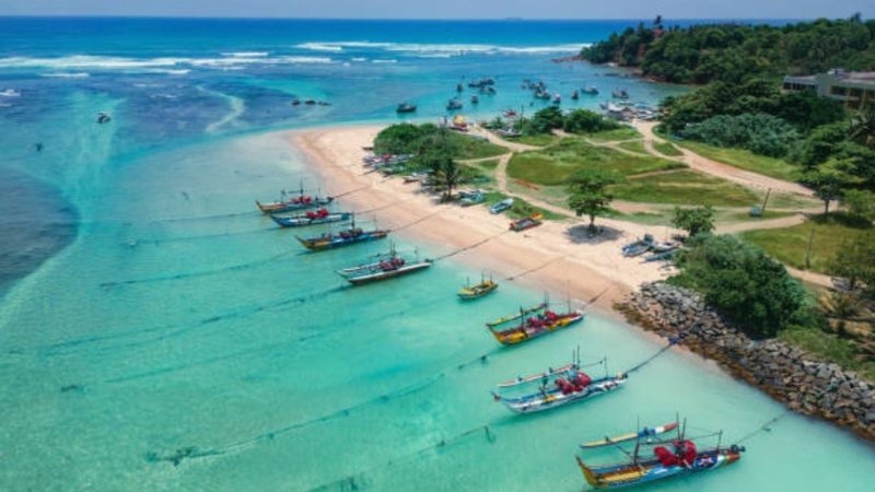 Untitled design - 2026-02-19T182526.067