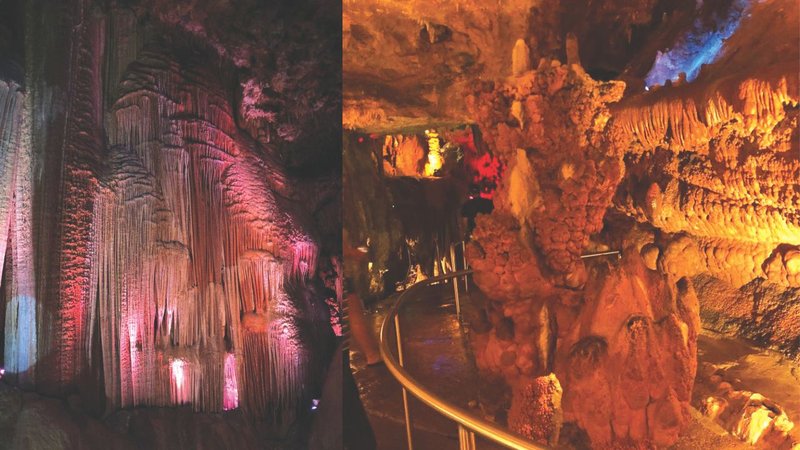 Untitled design - 2026-03-03T114057.637