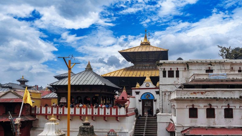 Untitled design - 2026-03-04T182645.594