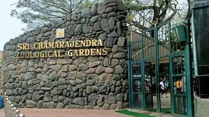 ಚಾಮರಾಜೇಂದ್ರ ಮೃಗಾಲಯದ ವತಿಯಿಂದ ಮಕ್ಕಳಿಗೆ ಬೇಸಗೆ ಶಿಬಿರ