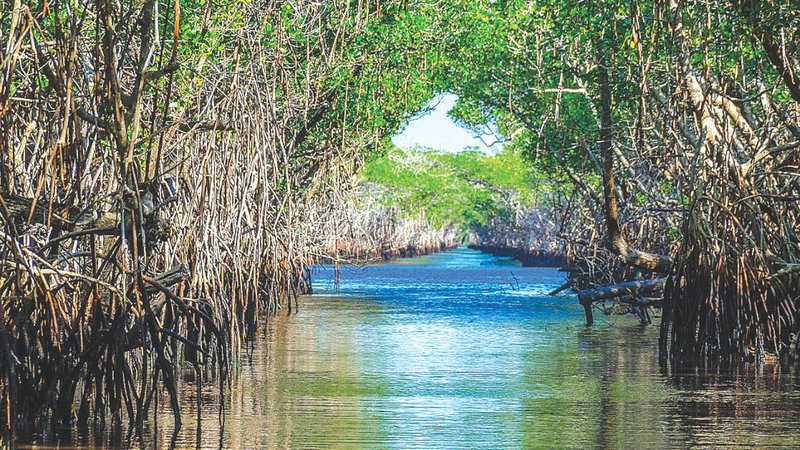 Untitled design - 2026-03-09T143017.683