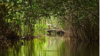 ತಲಕಾಡು ಮರಳಾಗಿ, ಮಾಲಂಗಿ ಮಡುವಾಗಿ