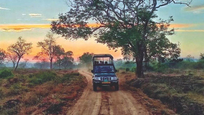 Untitled design - 2026-03-09T185946.826