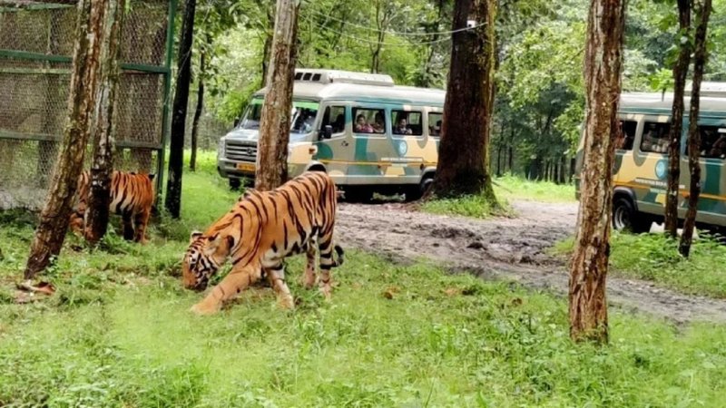 Untitled design - 2026-03-09T190012.313