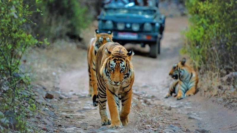 Untitled design - 2026-03-09T190032.458